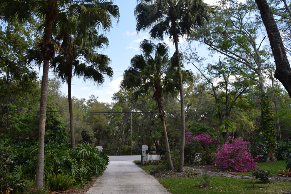 Ispirazione per un grande giardino tropicale in ombra davanti casa in primavera con pavimentazioni in cemento