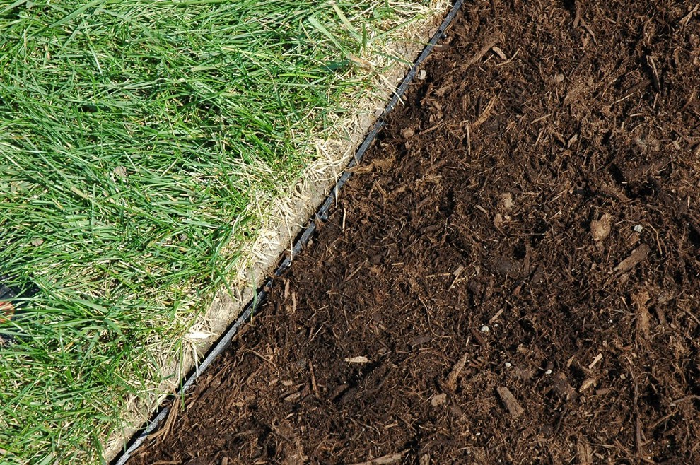 Design ideas for a traditional backyard mulch landscaping in Detroit for spring.