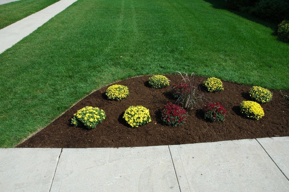 Inspiration for a traditional front yard mulch landscaping in Detroit for spring.