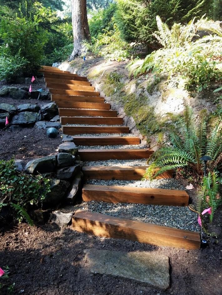 Photo of a modern back xeriscape garden in Seattle with a pathway and gravel.