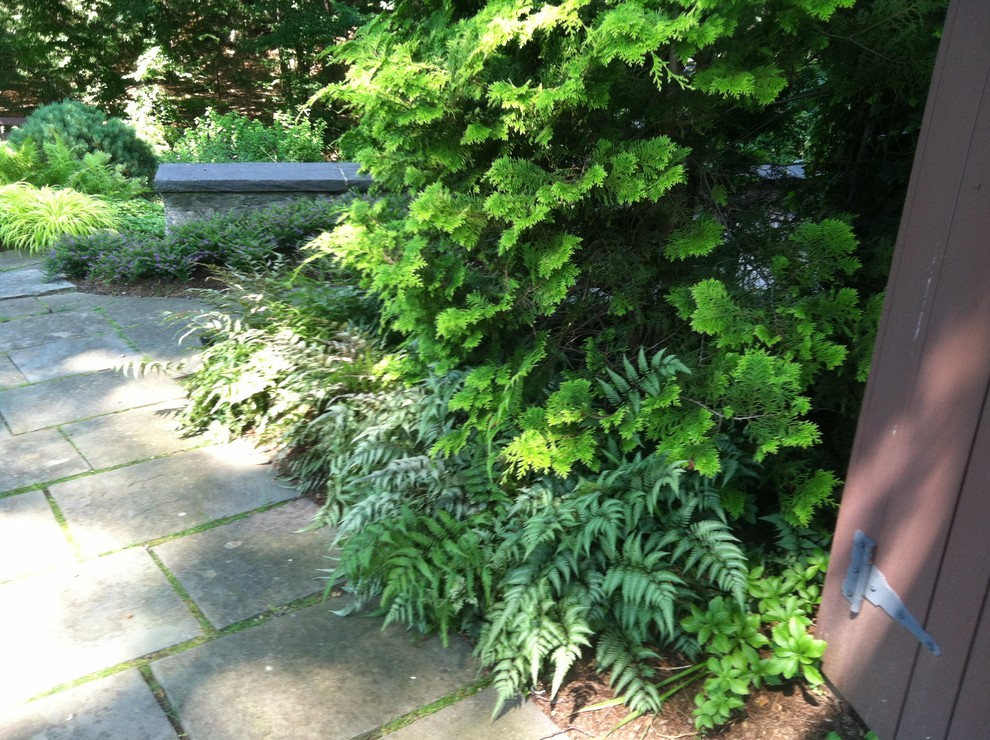 На фото: большой весенний регулярный сад на заднем дворе в средиземноморском стиле с садовой дорожкой или калиткой, мощением тротуарной плиткой и полуденной тенью с