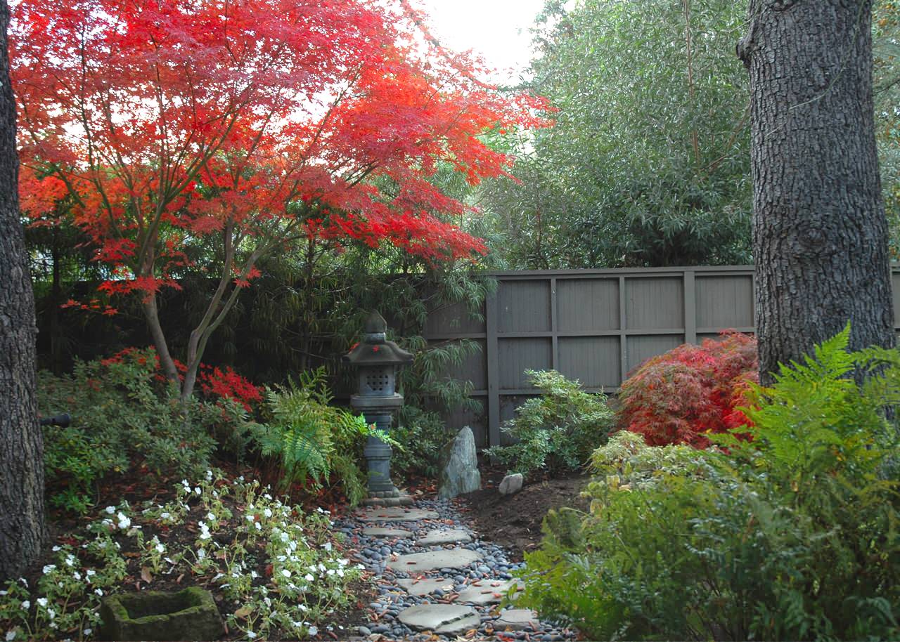 Как сделать маленький японский сад мхов — Мои Идеи Для Дачи и Сада
