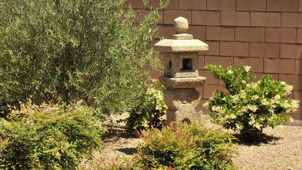This is an example of a mid-sized asian backyard formal garden in Las Vegas.