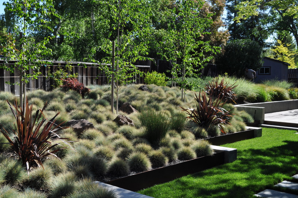 Photo of a modern retaining wall landscape in San Francisco.