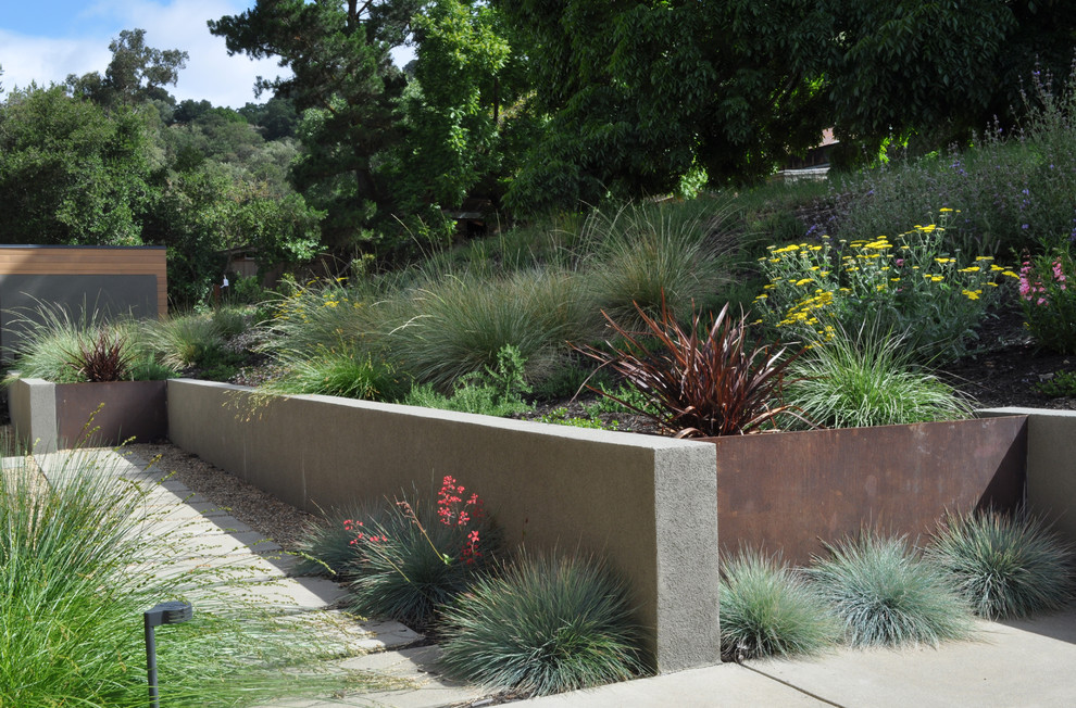 Design ideas for a modern retaining wall landscape in San Francisco.