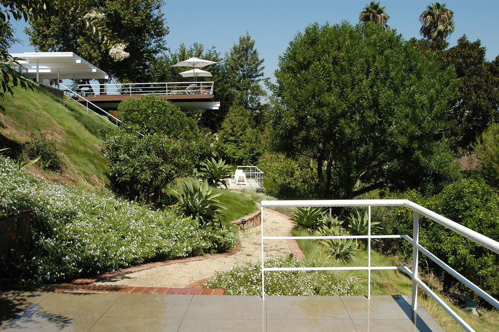 Immagine di un grande giardino xeriscape moderno esposto in pieno sole con un pendio, una collina o una riva, un ingresso o sentiero e pavimentazioni in cemento
