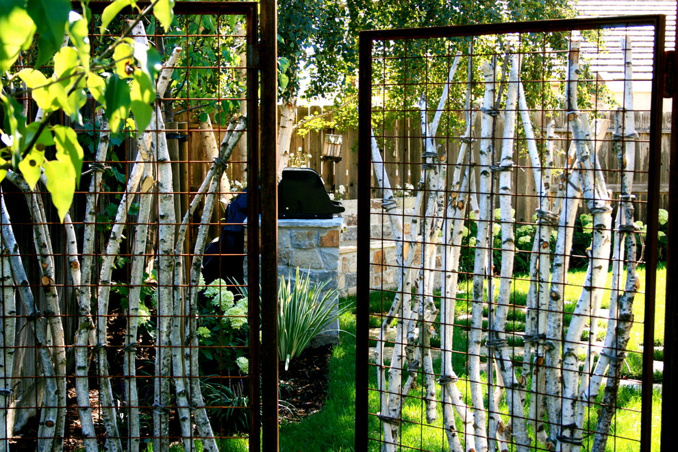 サクラメントにあるコンテンポラリースタイルのおしゃれな裏庭 (庭への小道) の写真
