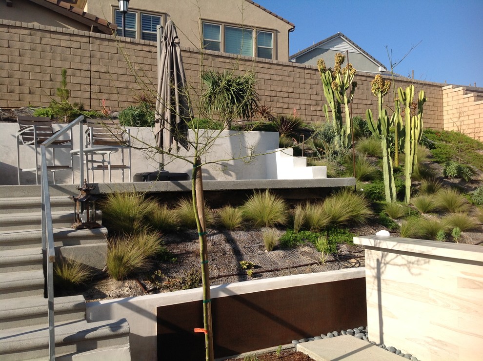 Diseño de jardín de secano minimalista grande en verano en patio trasero con jardín de macetas, exposición parcial al sol y adoquines de hormigón