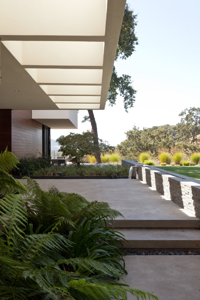 Esempio di un grande giardino minimalista in ombra davanti casa con pavimentazioni in cemento