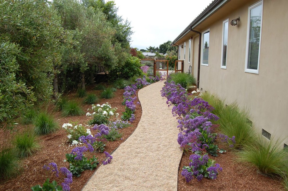 Large mediterranean back xeriscape full sun garden in San Francisco with a garden path and gravel.