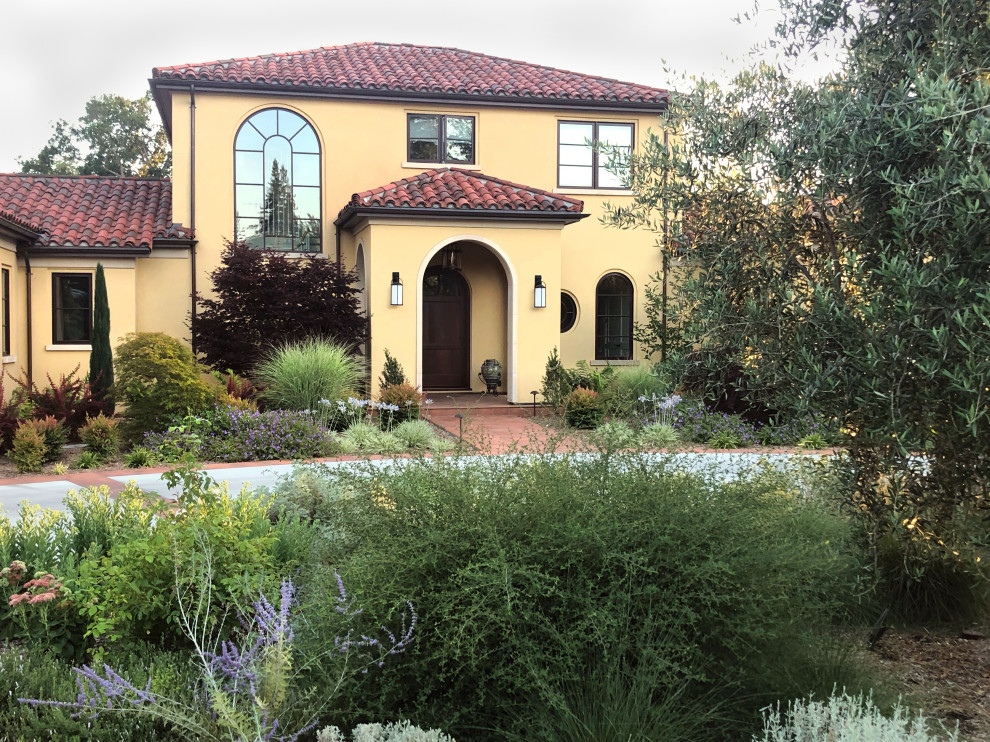 Inspiration for an expansive mediterranean front driveway garden in San Francisco.