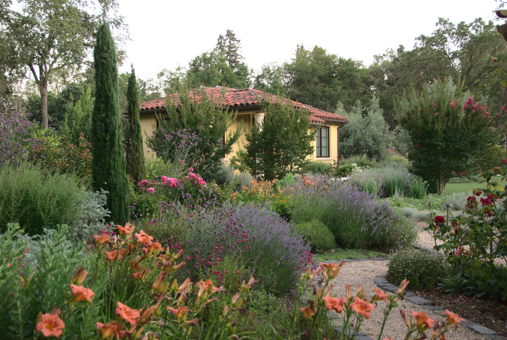 Идея дизайна: огромный солнечный, летний регулярный сад на заднем дворе в средиземноморском стиле с клумбами, хорошей освещенностью и покрытием из гравия