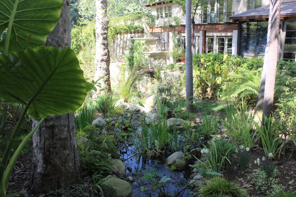 Cette photo montre un grand jardin arrière exotique avec une exposition ensoleillée et un bassin.