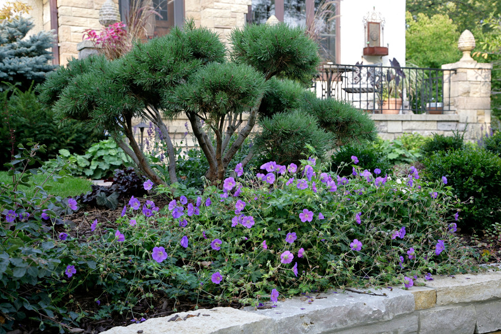 Photo of a medium sized rustic front garden in Minneapolis with a retaining wall and concrete paving.