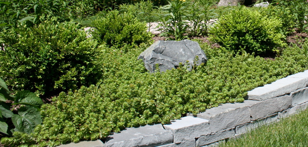 Immagine di un giardino contemporaneo esposto a mezz'ombra dietro casa con un muro di contenimento e pavimentazioni in mattoni