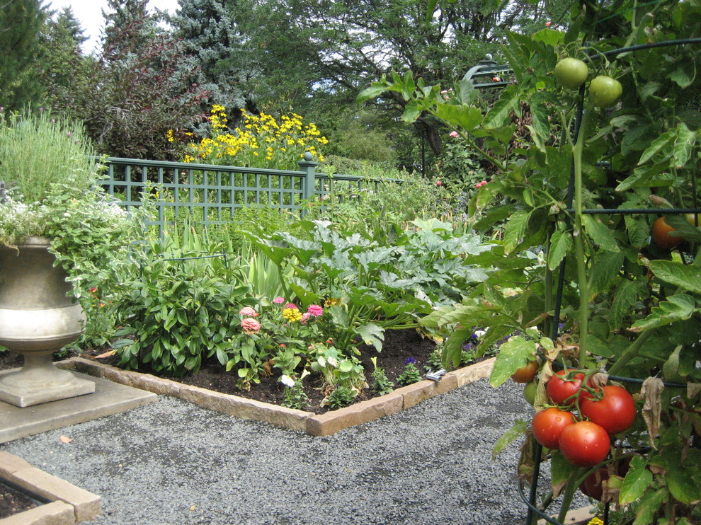 This is an example of a traditional backyard vegetable garden landscape in Denver.