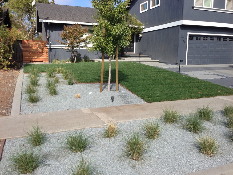 This is an example of a modern front yard concrete paver landscaping in San Francisco.