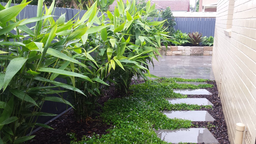 This is an example of a small contemporary courtyard stone retaining wall landscape in Sydney.