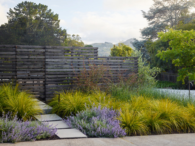 Strawberry Modern Garden San Francisco By Huettl Landscape Architecture Houzz Au