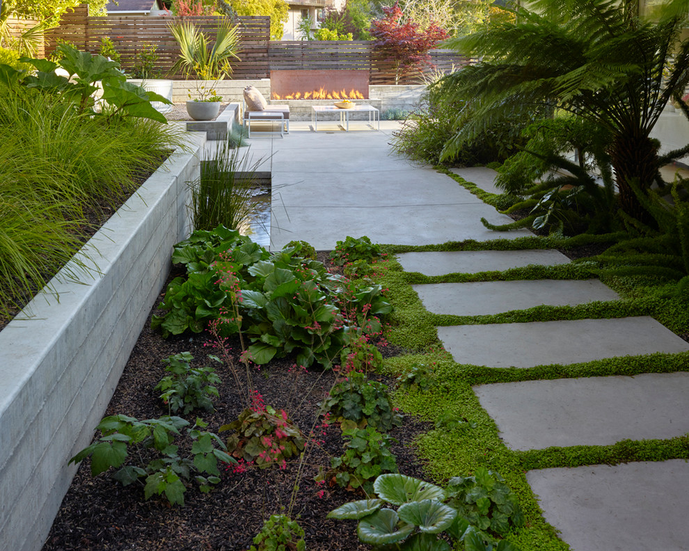 This is an example of a midcentury garden in San Francisco.