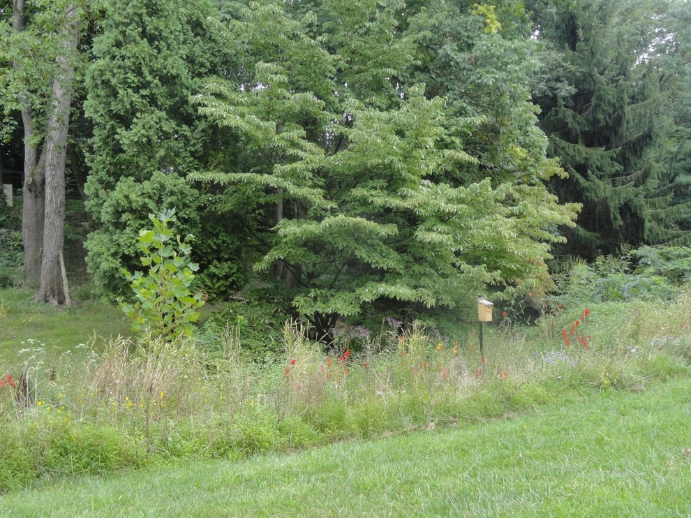 Inspiration for a mid-sized farmhouse drought-tolerant and full sun hillside landscaping in Philadelphia for summer.