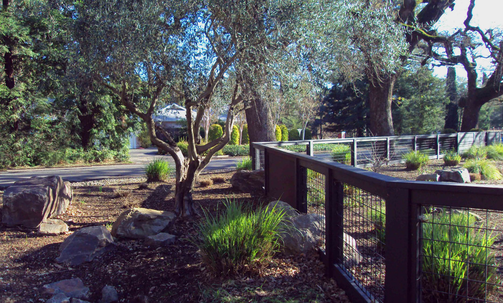 Immagine di un grande giardino xeriscape minimalista esposto a mezz'ombra in primavera con sassi di fiume e recinzione in legno