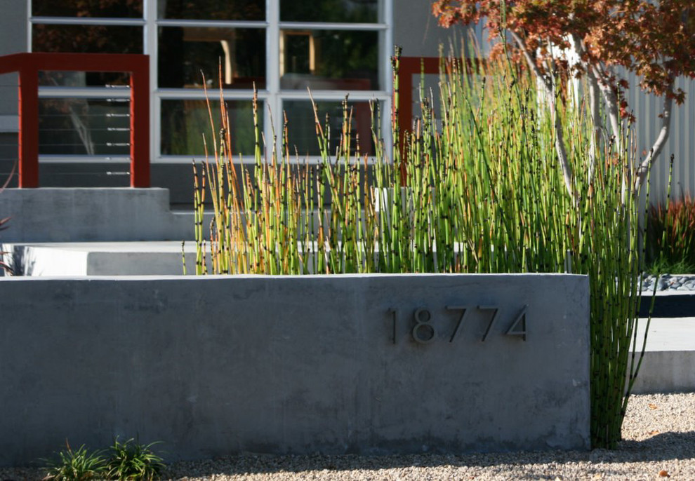Moderner Garten in San Francisco