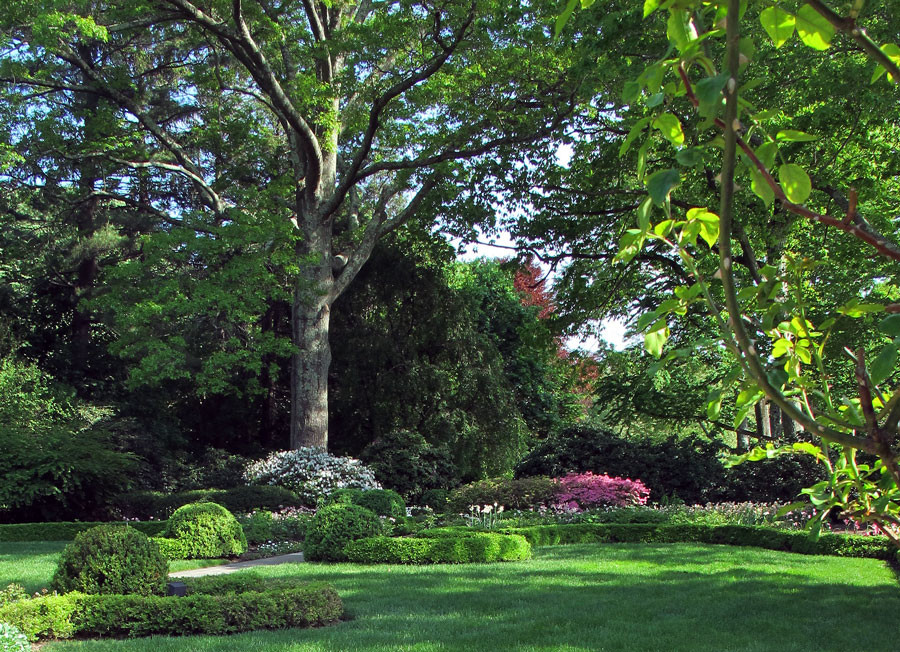 Exemple d'un très grand jardin arrière chic l'été avec une exposition partiellement ombragée et des pavés en béton.
