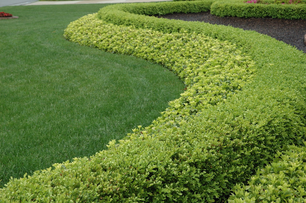 Photo of a traditional landscaping in Detroit.