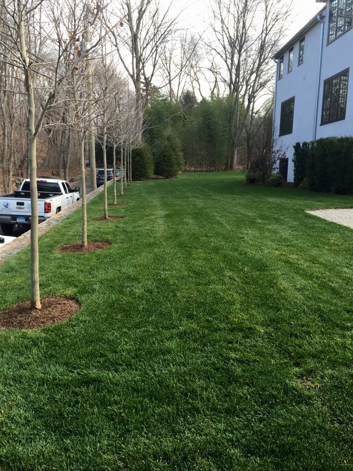 Stucco Klassisch modern Garten New York von Rizzo Masonry