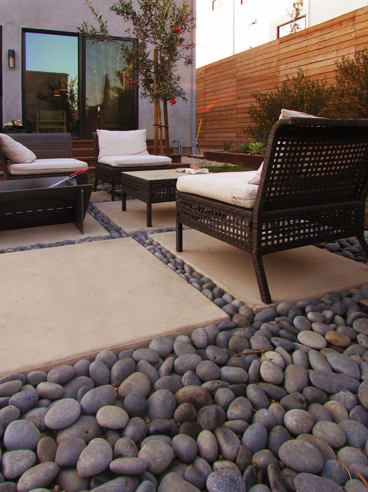 Photo of a medium sized modern back xeriscape full sun garden for spring in Los Angeles with concrete paving.
