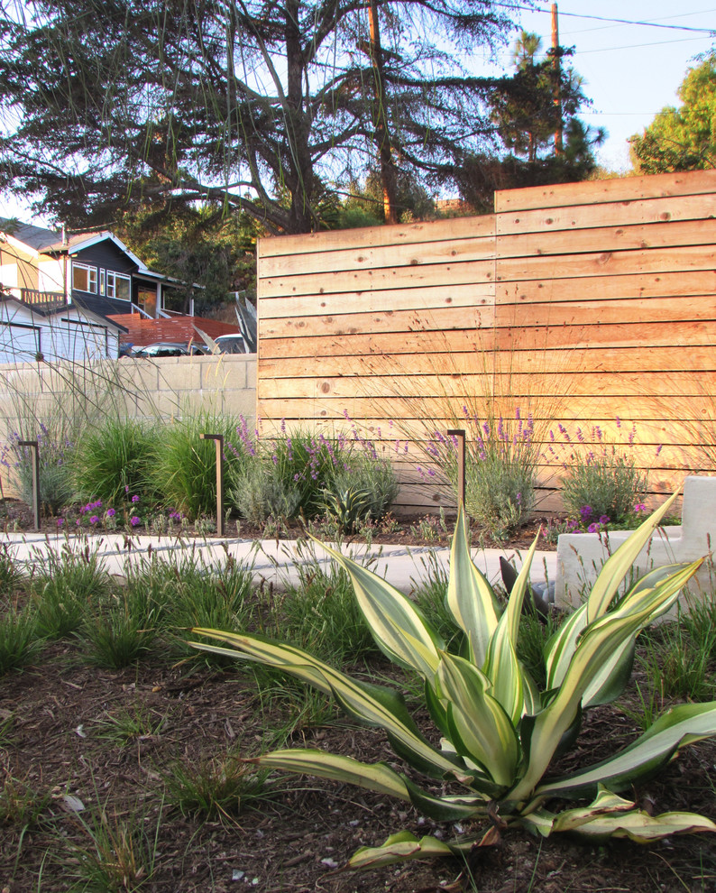Idee per un giardino xeriscape moderno esposto in pieno sole di medie dimensioni e davanti casa in primavera con un ingresso o sentiero e pavimentazioni in cemento
