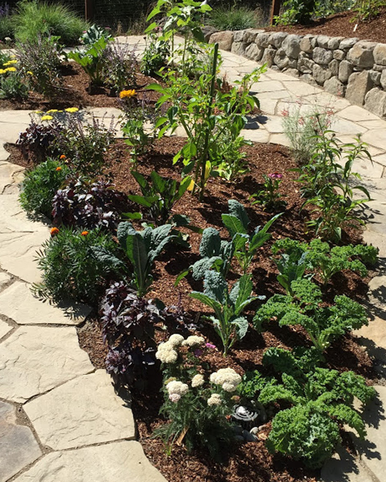 Design ideas for a medium sized rustic sloped xeriscape full sun garden for summer in San Francisco with a vegetable patch and natural stone paving.