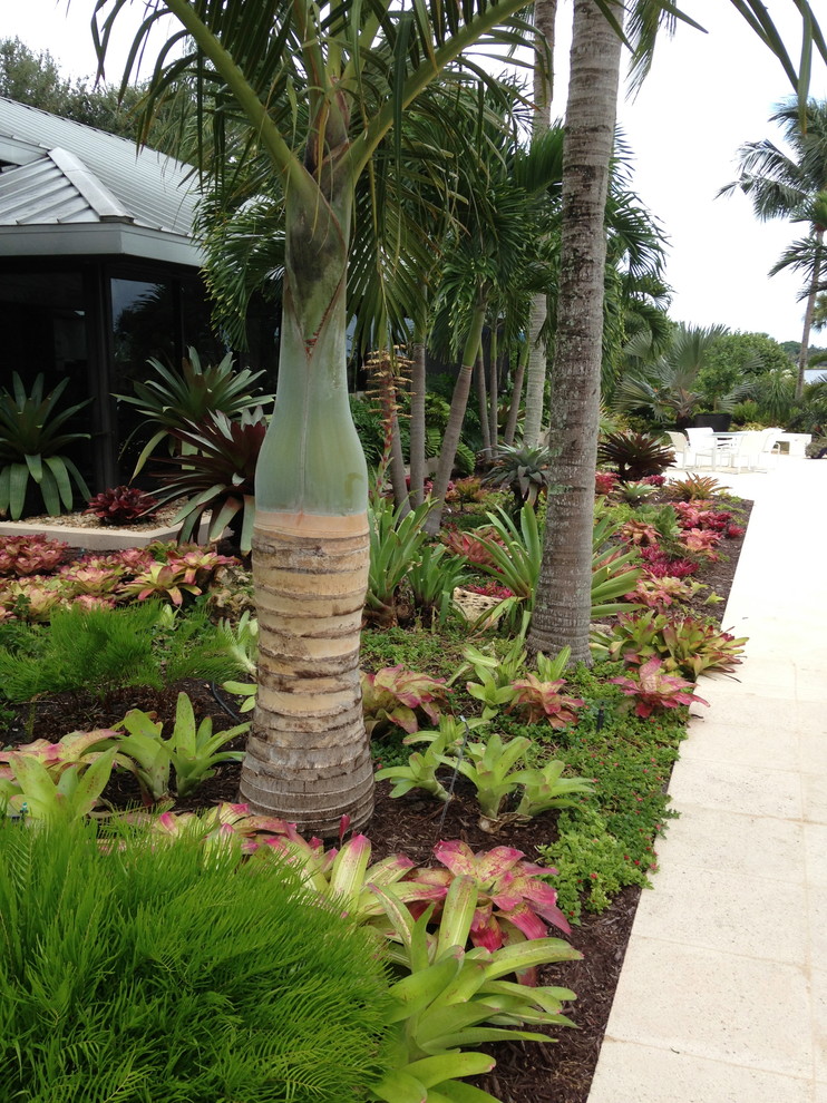 Contemporary garden in Miami.
