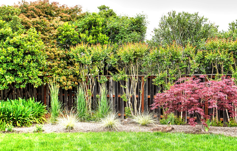 Cette photo montre un jardin arrière chic de taille moyenne avec un chemin, une exposition partiellement ombragée et des pavés en béton.
