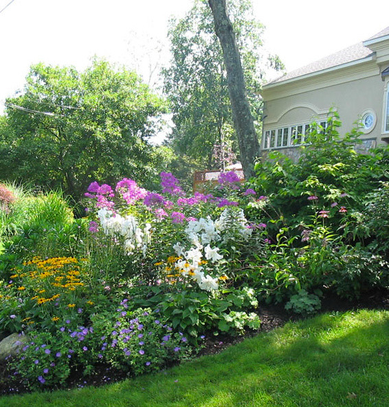 Ejemplo de jardín tradicional de tamaño medio en patio trasero con exposición total al sol y adoquines de piedra natural