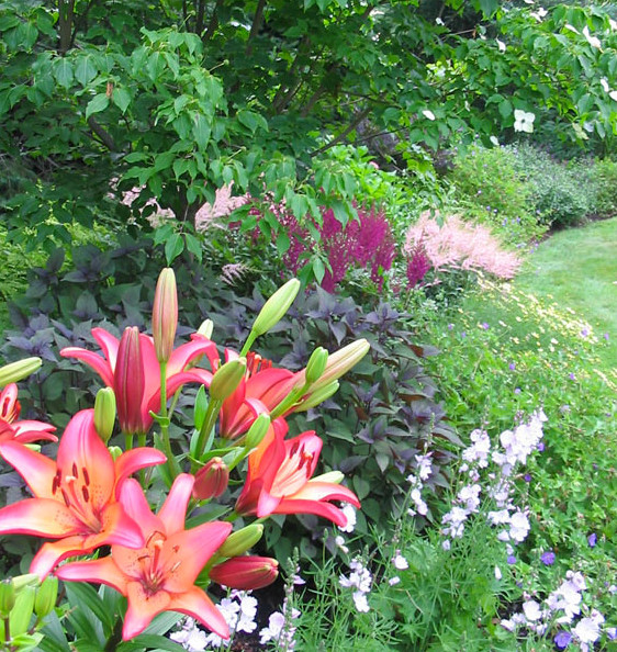 На фото: солнечный участок и сад среднего размера на заднем дворе в классическом стиле с хорошей освещенностью и покрытием из каменной брусчатки с