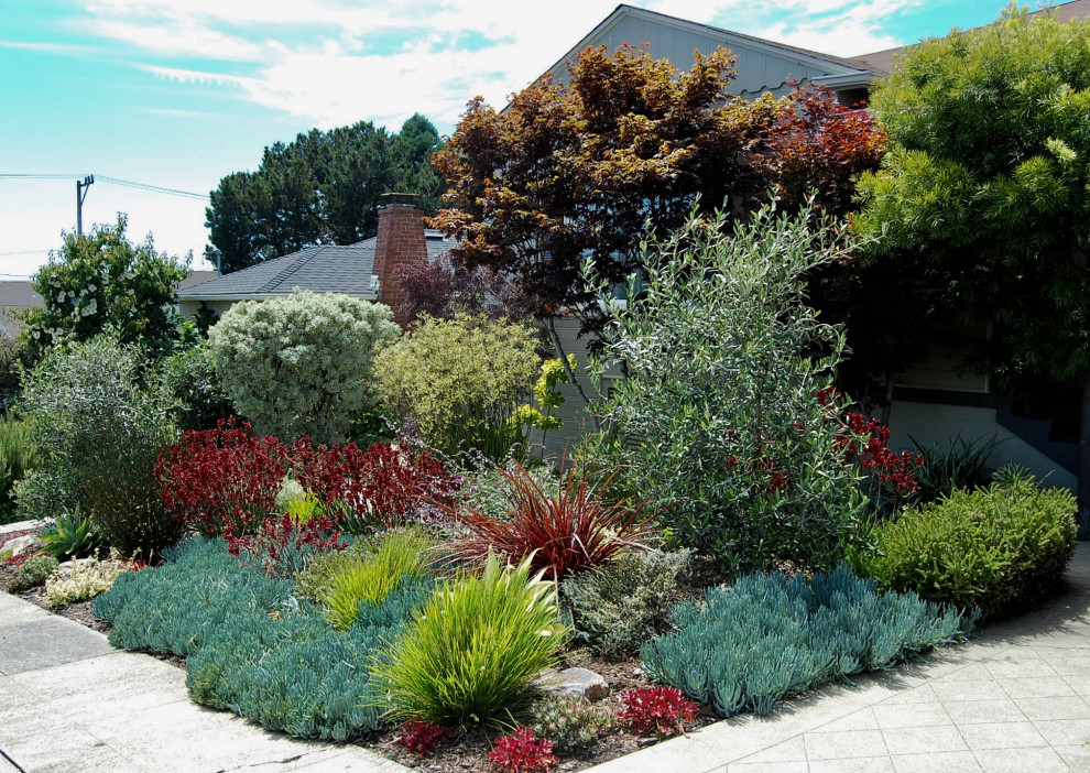 Photo of a small contemporary front xeriscape full sun garden for summer in San Francisco with a garden path and natural stone paving.