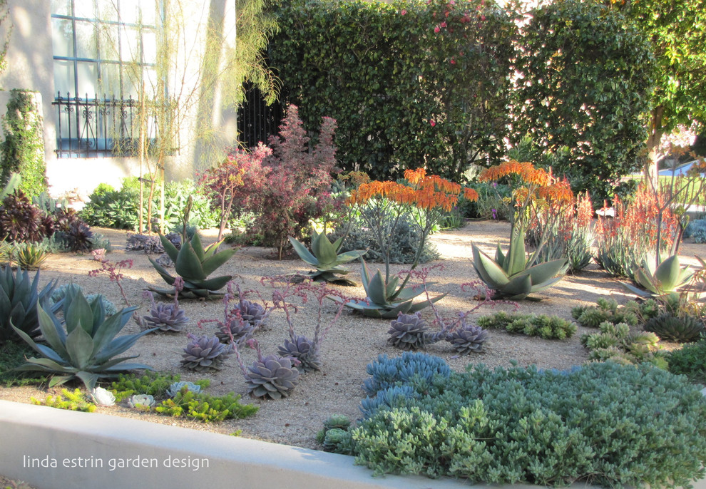 ロサンゼルスにある中くらいなサンタフェスタイルのおしゃれな前庭 (ゼリスケープ、庭への小道、日向、砂利舗装) の写真