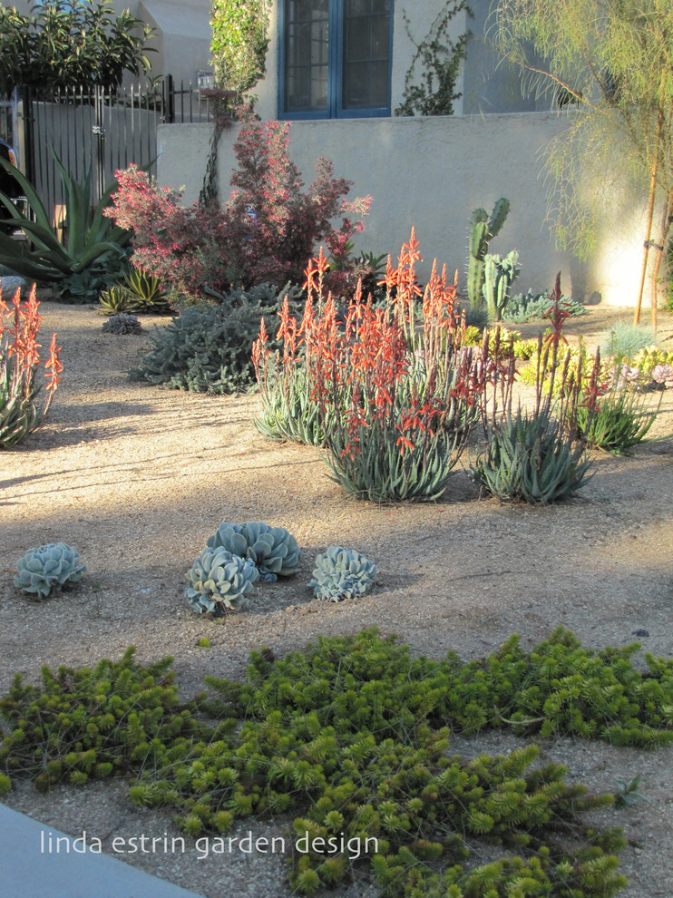 Esempio di un giardino xeriscape stile americano esposto in pieno sole di medie dimensioni e davanti casa con un ingresso o sentiero e ghiaia