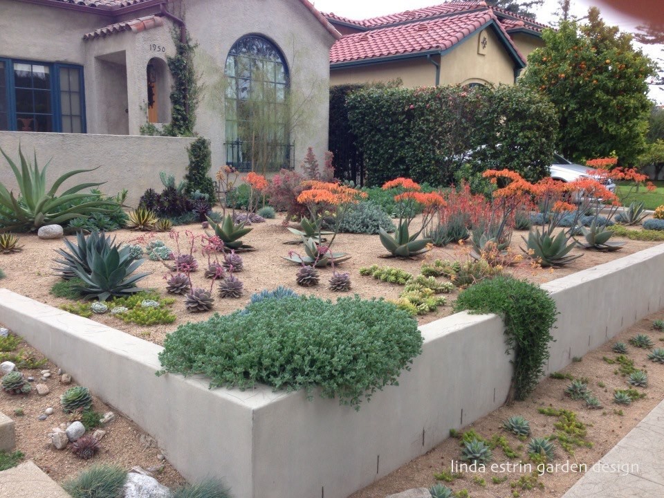 Foto di un giardino xeriscape american style esposto in pieno sole di medie dimensioni e davanti casa con un ingresso o sentiero e ghiaia