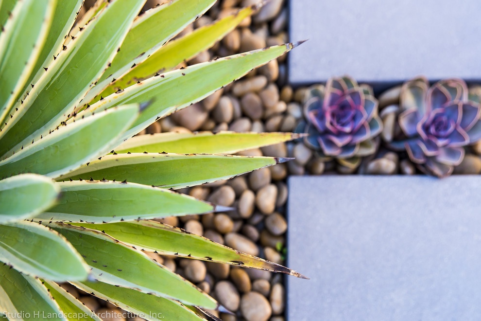 Inspiration for a small contemporary drought-tolerant backyard stone landscaping in Orange County.