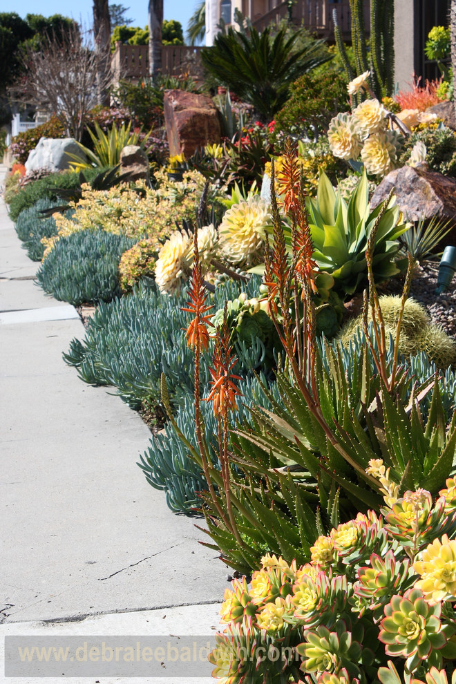 サンディエゴにあるエクレクティックスタイルのおしゃれな庭の写真