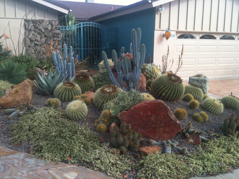 サンディエゴにある地中海スタイルのおしゃれな庭の写真