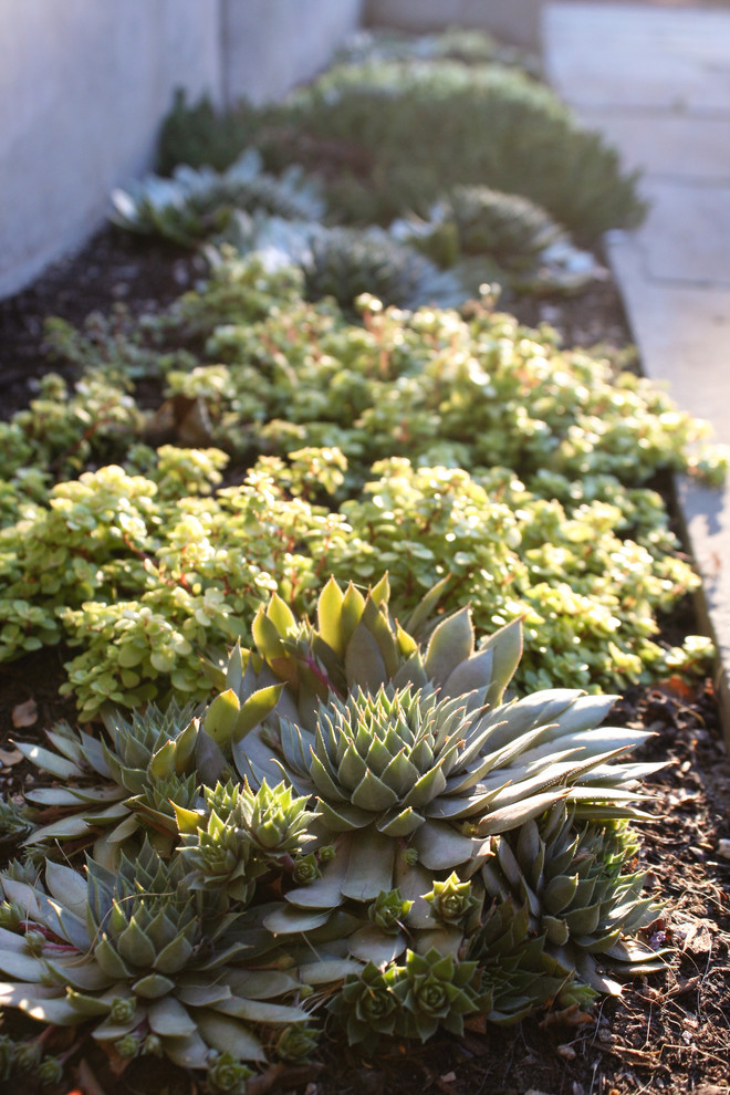 Inspiration for a large mediterranean back xeriscape partial sun garden in Portland with a garden path and natural stone paving.