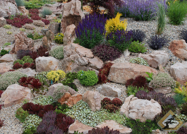 Succulent Rock Garden Grand, Landscaping With Succulents And Rocks