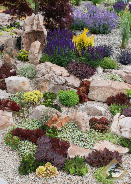 Succulent Rock Garden Garden Grand Rapids By Windscapes Landscaping Houzz