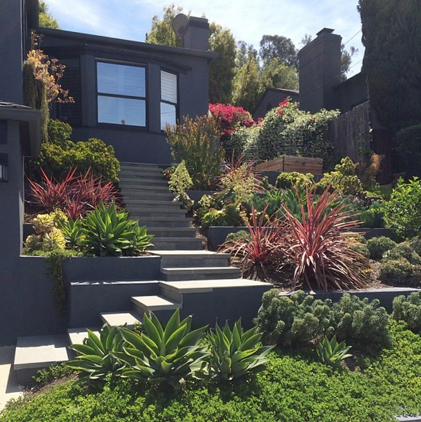 Inspiration for a contemporary sloped xeriscape garden in Los Angeles.