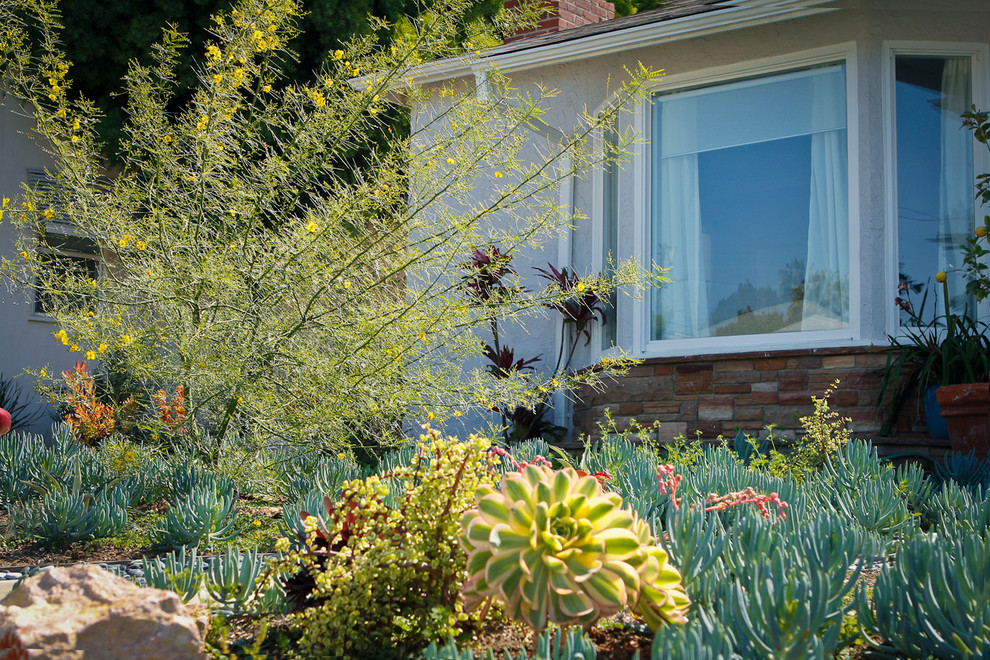 Пример оригинального дизайна: маленький засухоустойчивый сад на переднем дворе в стиле фьюжн для на участке и в саду