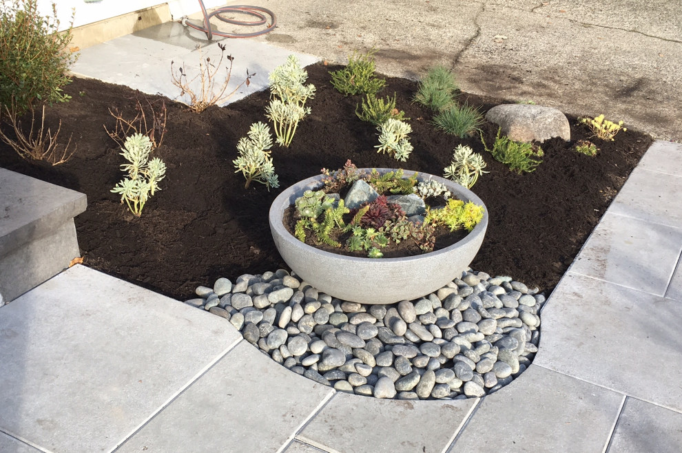 Idee per un piccolo giardino xeriscape minimalista esposto in pieno sole davanti casa con un giardino in vaso e pavimentazioni in cemento